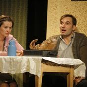 Vlasakova L. Machacek J.