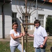 Mila a Honza a jejich Katalpa