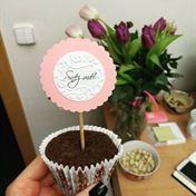 Pečeme si pro radost