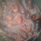 Cesta kolem sveta zakulisi burty na pivu 12.2.2014